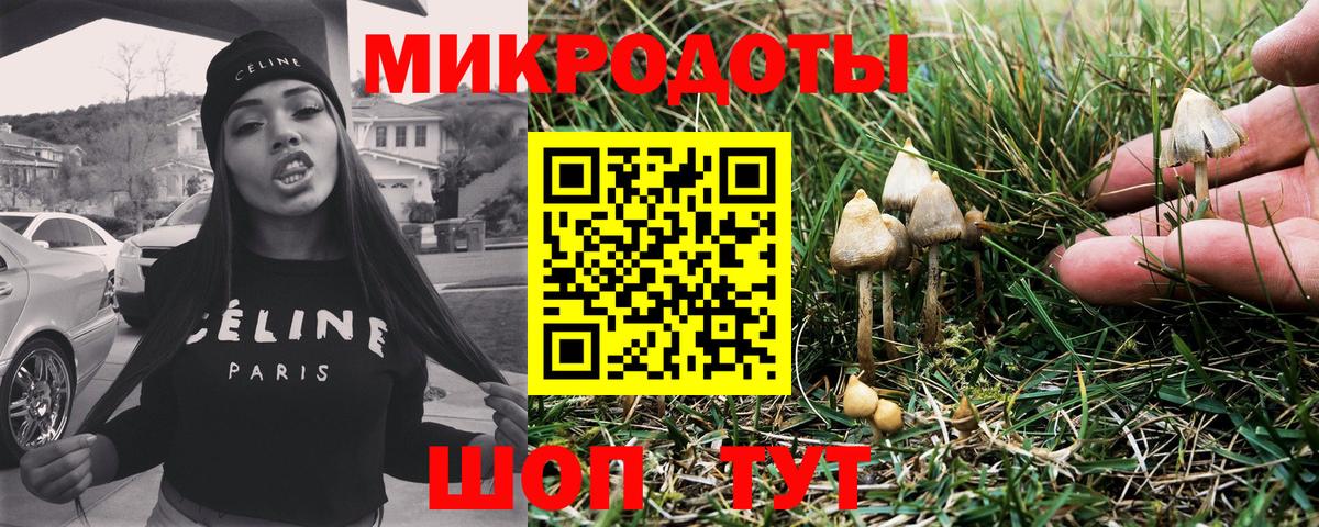 Псилоцибиновые грибы ЛСД Городец