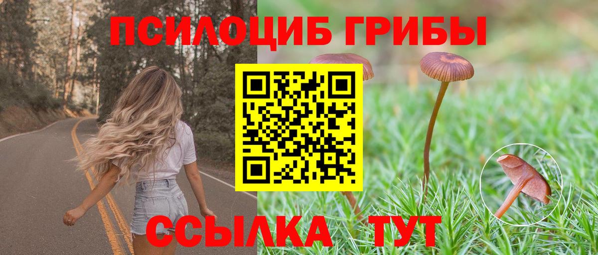 Городец  Галлюциногенные грибы MAGIC MUSHROOMS  Вход с VPN 